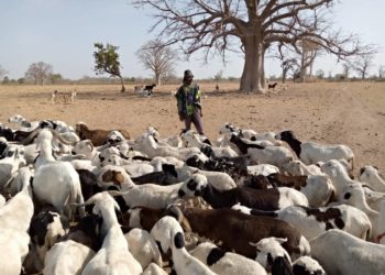 Newsletter du 25 Janvier 2021