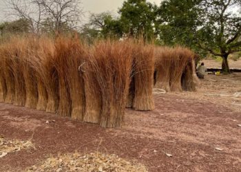 Newsletter du 10 mai 2021