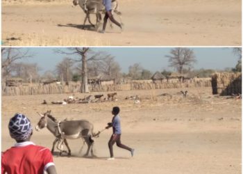 02 Janvier 2022 => Les résultats sont là