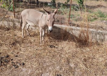 28/12/2023 =>  AG – Fin d’année