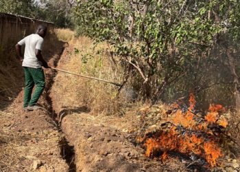 Newsletter d’Octobre